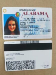 Editable blank Alabama drivers license template psd download