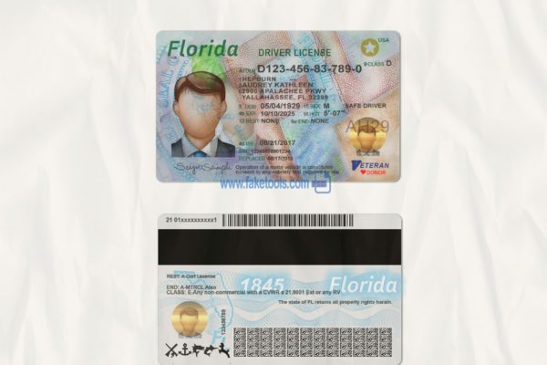 Florida driver license Psd Template