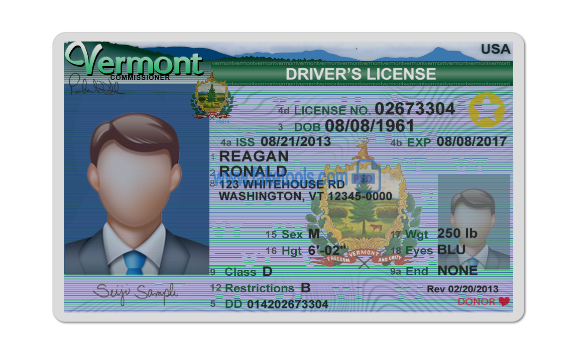 Editable blank Vermont drivers license template psd download