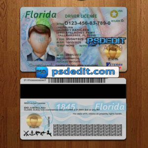 Editable blank Florida drivers license template psd download