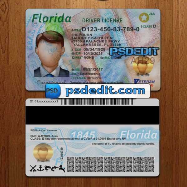 Editable blank Florida drivers license template psd download