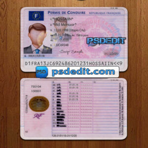 Editable blank France drivers license template psd download