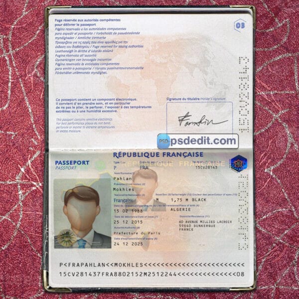 Editable blank France Passport Template Psd download