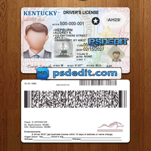 Editable blank Kentucky drivers license template psd download