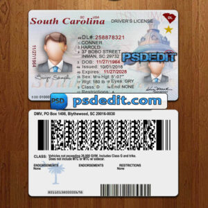 Editable blank South Carolina drivers license template psd download (V1)